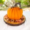 Pumpkin Cake